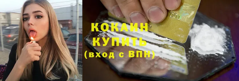 Cocaine Fish Scale Кедровый